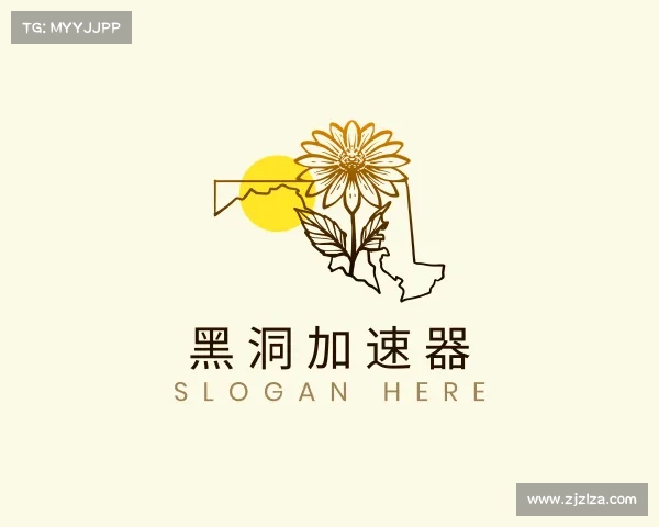 知道黑洞加速器